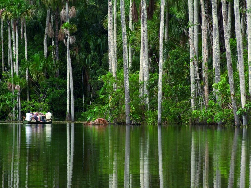 Inkaterra Reserva Amazonica Пуерто Малдонадо Екстериор снимка
