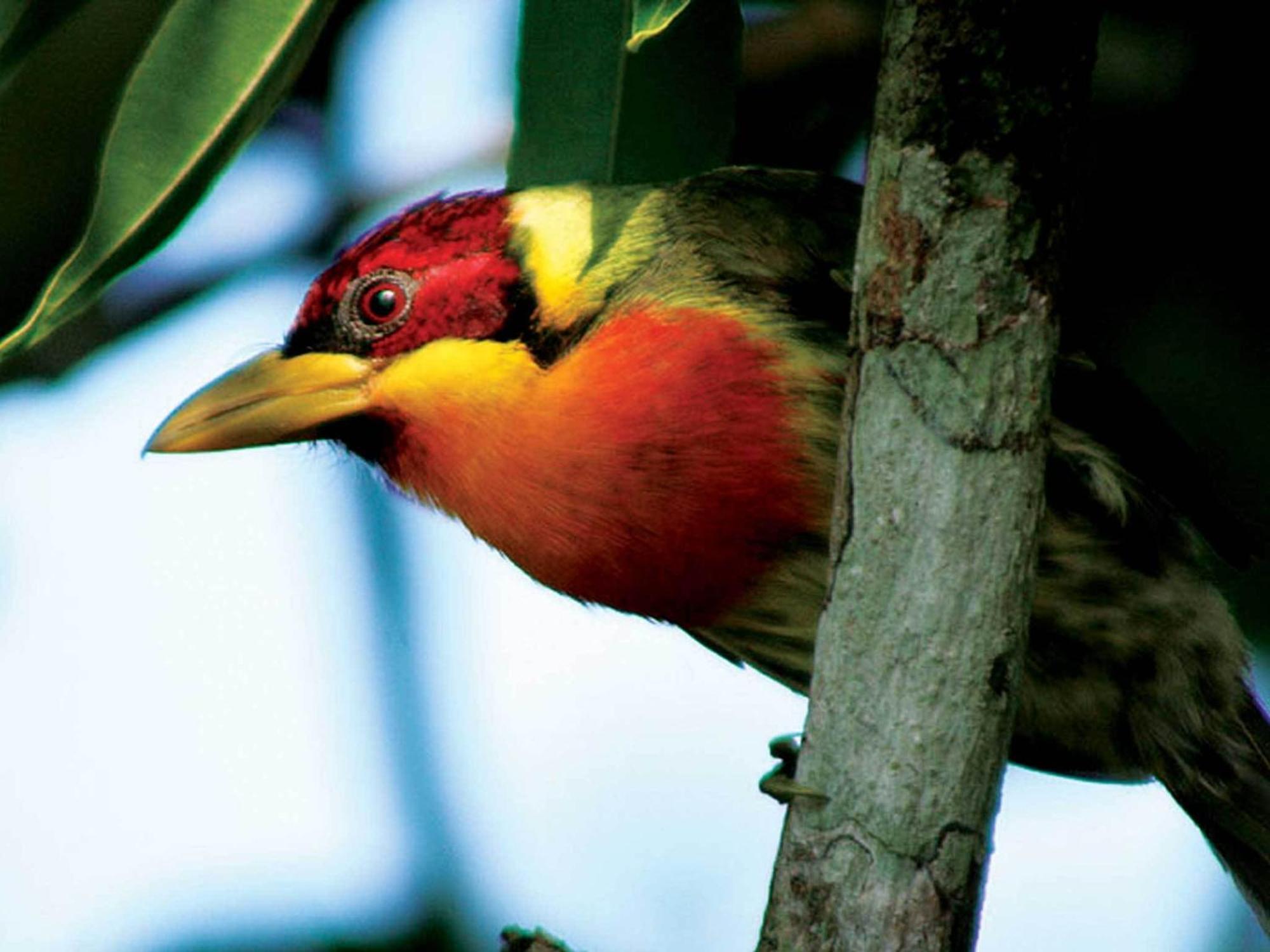 Inkaterra Reserva Amazonica Пуерто Малдонадо Екстериор снимка