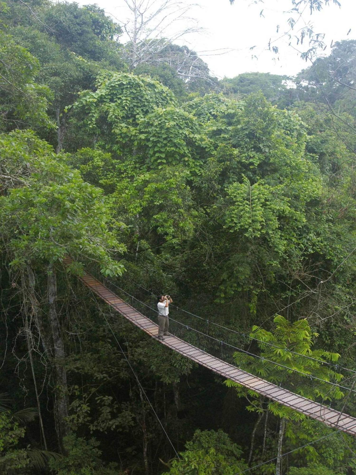 Inkaterra Reserva Amazonica Пуерто Малдонадо Екстериор снимка