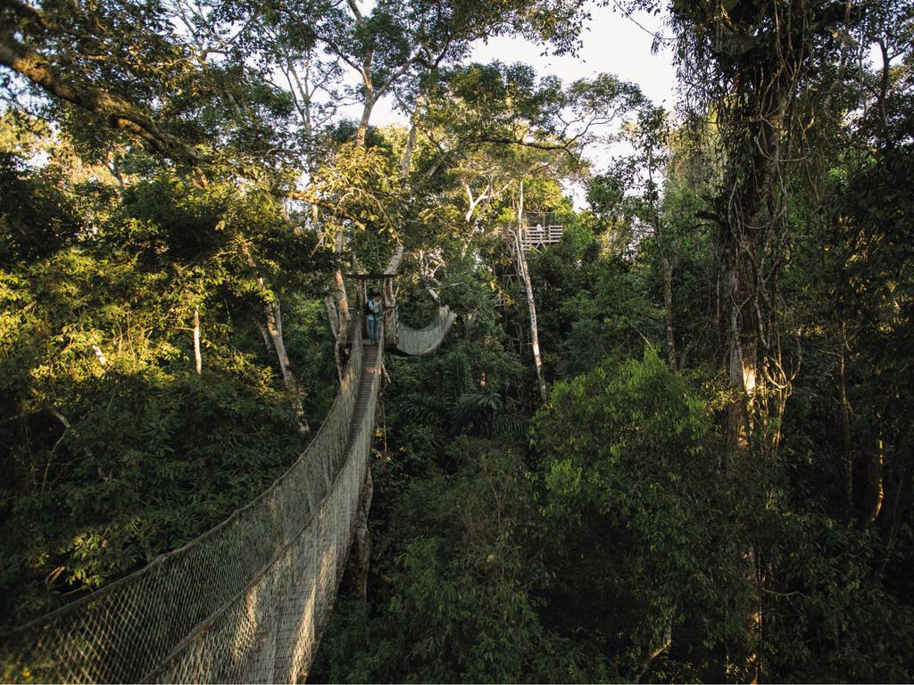 Inkaterra Reserva Amazonica Пуерто Малдонадо Екстериор снимка