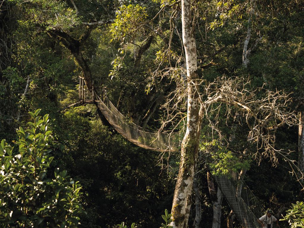 Inkaterra Reserva Amazonica Пуерто Малдонадо Екстериор снимка